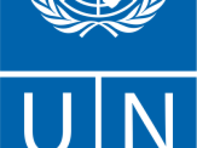 UNDP